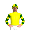 Jockey Silk