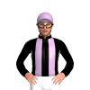 Jockey Silk