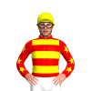 Jockey Silk