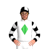 Jockey Silk