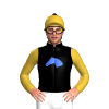 Jockey Silk