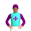 Jockey Silk