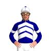Jockey Silk