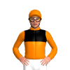 Jockey Silk