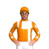 Jockey Silk