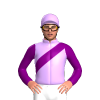 Jockey Silk