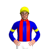 Jockey Silk