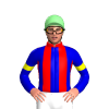 Jockey Silk