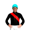 Jockey Silk
