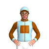 Jockey Silk