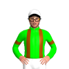 Jockey Silk