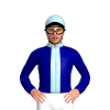 Jockey Silk
