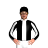 Jockey Silk
