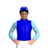 Jockey Silk
