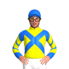 Jockey Silk