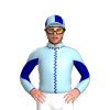 Jockey Silk