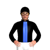 Jockey Silk