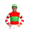 Jockey Silk