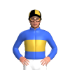 Jockey Silk
