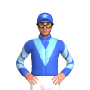 Jockey Silk