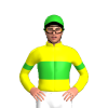 Jockey Silk