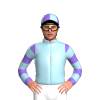 Jockey Silk