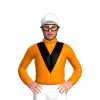 Jockey Silk