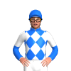 Jockey Silk