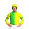 Jockey Silk