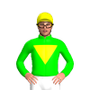 Jockey Silk
