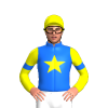 Jockey Silk