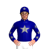 Jockey Silk