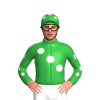 Jockey Silk