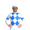Jockey Silk