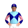 Jockey Silk