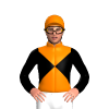 Jockey Silk