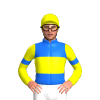 Jockey Silk