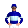 Jockey Silk