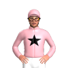 Jockey Silk