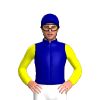 Dark Blue, Yellow Sleeves