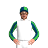 WHITE, BLUE AND GREEN WAIKATO STUD LOGO, INDIGO SLEEVES ,GREEN STRIPES SLEEVES, QUARTERS CAP