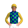 Navy Blue, Emerald Green Checks, Gold Sleeves And Cap