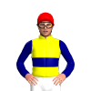 YELLOW, NAVY DOUBLE BAND, SLEEVES, Green cap