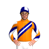 Jockey Silk
