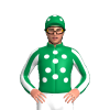 Jockey Silk