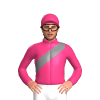 Jockey Silk