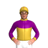 Jockey Silk