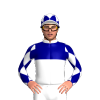 Jockey Silk