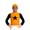 Jockey Silk