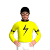 Jockey Silk